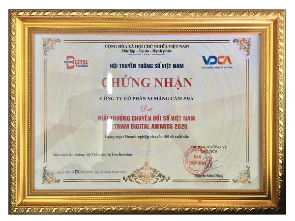 Vietnam Digital Transformation Award
